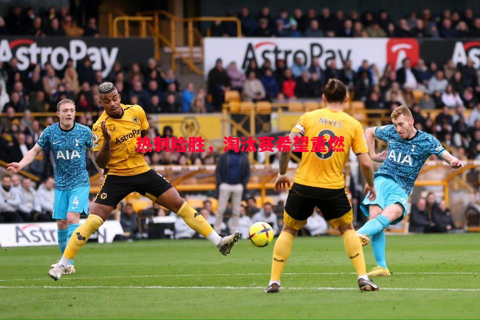 热刺险胜,淘汰赛希望重燃 热刺险胜,淘汰赛希望重燃