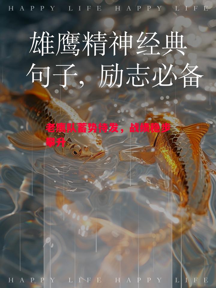 老鹰队蓄势待发,战绩稳步攀升 老鹰队蓄势待发,战绩稳步攀升