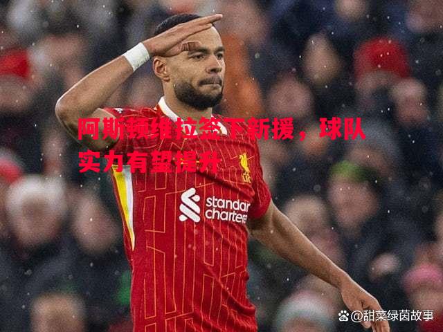 阿斯顿维拉签下新援,球队实力有望提升 阿斯顿维拉签下新援,球队实力有望提升