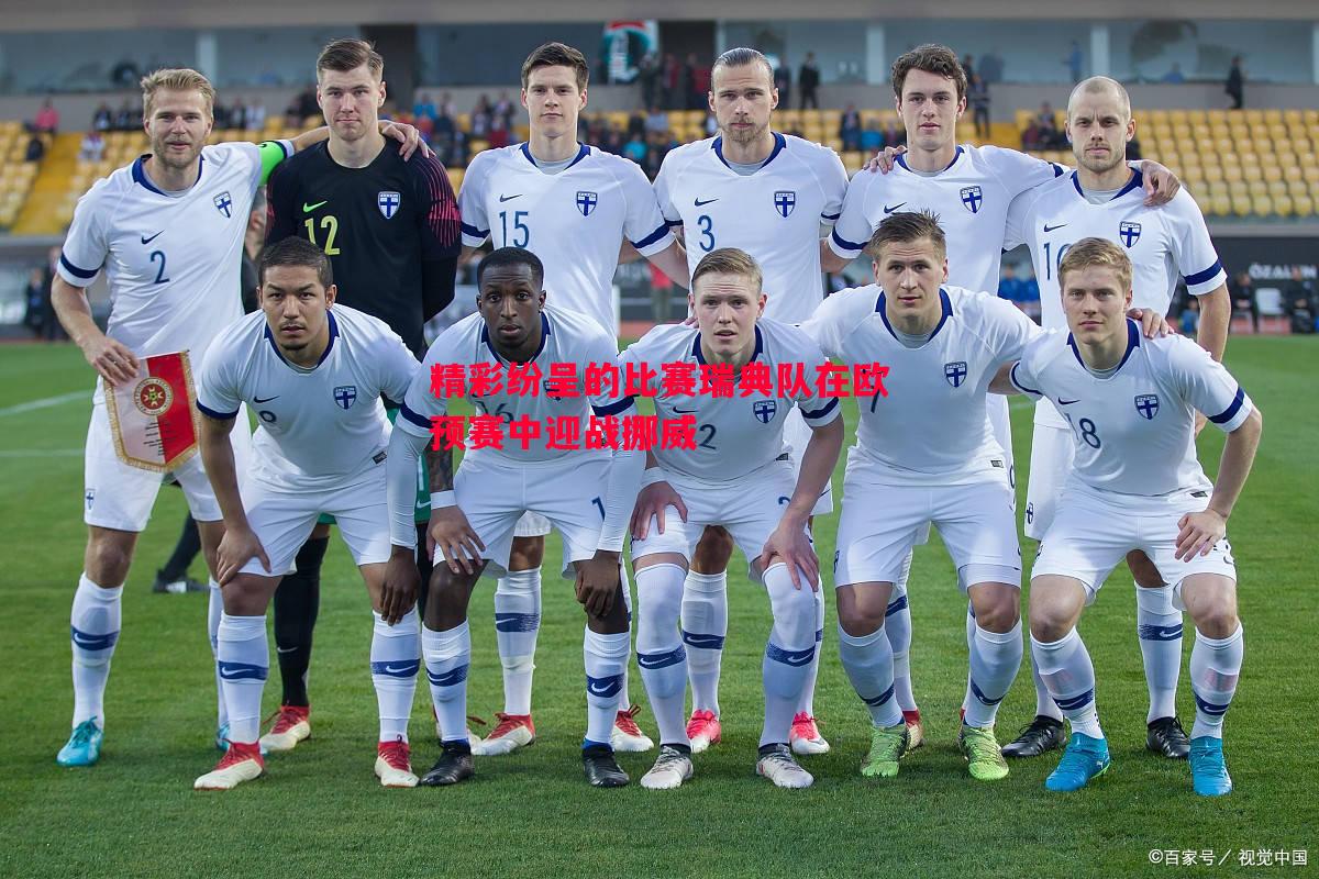精彩纷呈的比赛瑞典队在欧预赛中迎战挪威 精彩纷呈的比赛瑞典队在欧预赛中迎战挪威