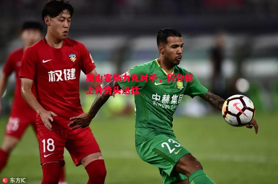 黑山客场力克对手,积分榜上升势头迅猛 黑山客场力克对手,积分榜上升势头迅猛