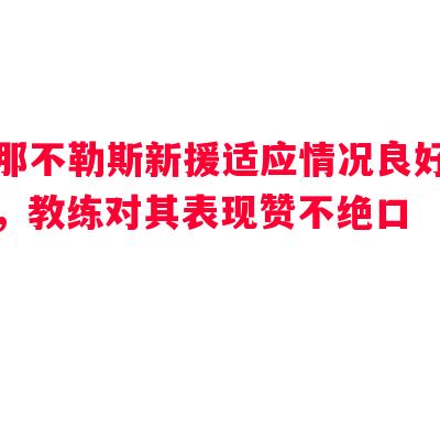 那不勒斯新援适应情况良好,教练对其表现赞不绝口 那不勒斯新援适应情况良好,教练对其表现赞不绝口