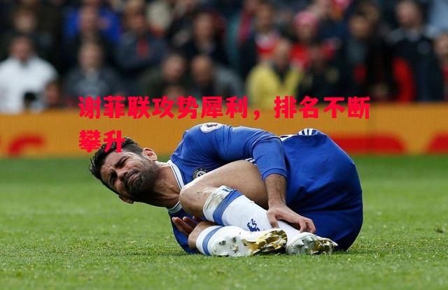 谢菲联攻势犀利,排名不断攀升 谢菲联攻势犀利,排名不断攀升