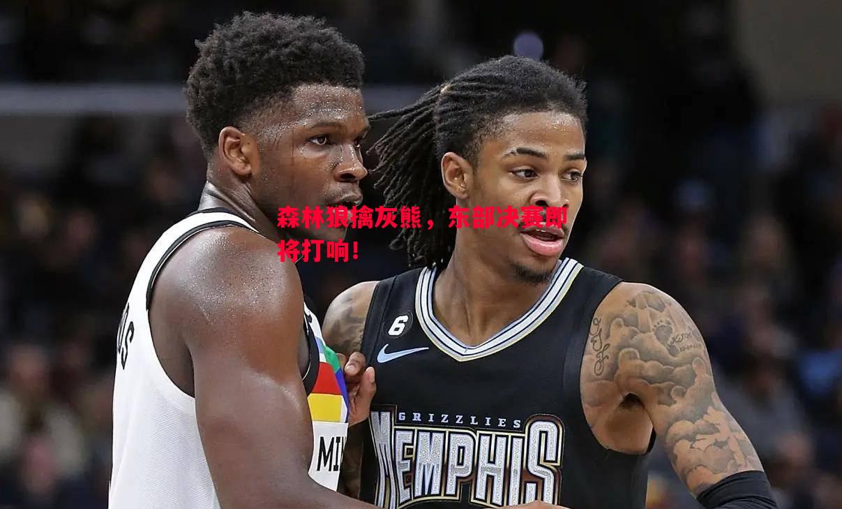 森林狼擒灰熊,东部决赛即将打响! 森林狼擒灰熊,东部决赛即将打响!